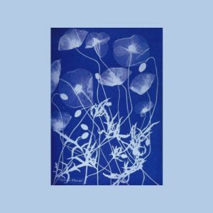 Jacquard CYANOTYPE SET- Photographic art prints with sunlight