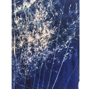 Jacquard CYANOTYPE SET- Photographic art prints with sunlight