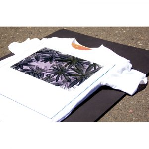 Jacquard Solarfast Class Kit-Photographic art prints with sunlight